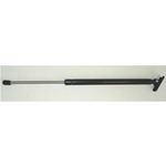 SUPPORTO PORTELLONE POSTERIORE, XJ 97-01